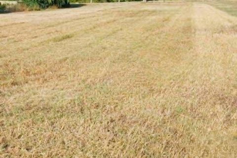Terra a Eyrans, Gironde, Eyrans - € 50.000 | Ref: 3011444707 - foto 3