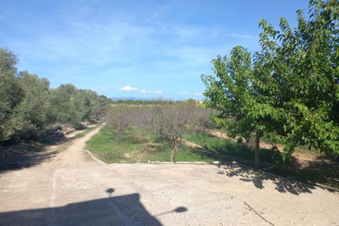 Finca i Mora D'ebre, Tarragona, Mora D'ebre - € 90.000 | Ref: S-1533729 - foto 17
