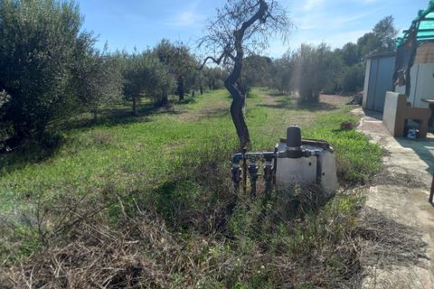 Finca i Mora D'ebre, Tarragona, Mora D'ebre - € 90.000 | Ref: S-1533729 - foto 19