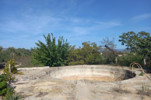 Finca i Mora D'ebre, Tarragona, Mora D'ebre - € 90.000 | Ref: S-1533729 - foto 20