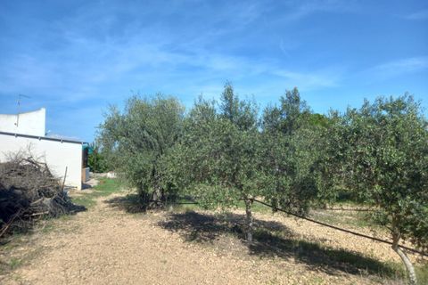 Finca i Mora D'ebre, Tarragona, Mora D'ebre - € 90.000 | Ref: S-1533729 - foto 25
