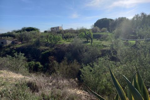Finca i Mora D'ebre, Tarragona, Mora D'ebre - € 90.000 | Ref: S-1533729 - foto 26