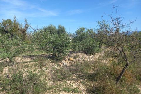 Finca i Mora D'ebre, Tarragona, Mora D'ebre - € 90.000 | Ref: S-1533729 - foto 27