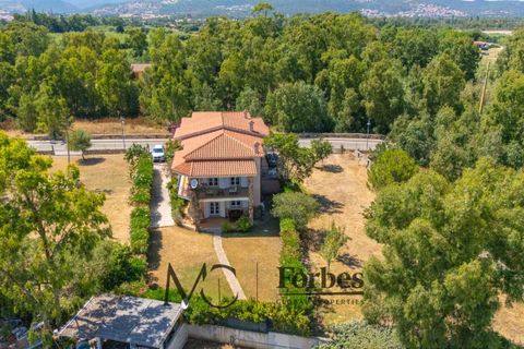 Willa: Budoni, Sassari, Budoni – 582 000 € | Ref: BUV-18-26 – zdjęcie 30