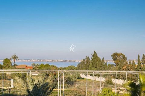 Villa a Torrevieja, Alicante, Torrevieja - € 2.600/mes | Ref: CHA0418 - foto 33