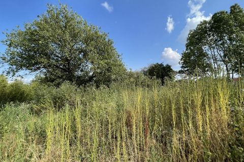Terra a Saint-Ignat, Puy-de-Dome, Saint-Ignat - € 120.000 | Ref: 3011444688 - foto 5