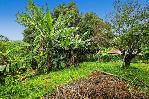 Masia a Sainte-Luce, Martinique, Sainte-Luce - € 327.000 | Ref: 3011444691 - foto 8