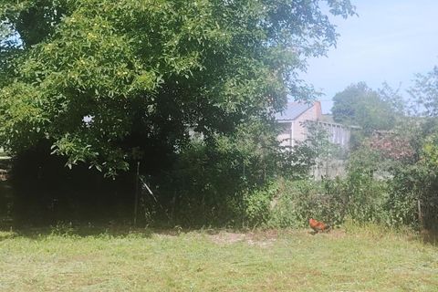 Granja a Herbinghen, Pas-de-Calais, Herbinghen - € 364.000 | Ref: 205324 - foto 7