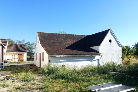 Villa i Bergerac, Dordogne, Bergerac - € 468.500 | Ref: 205722 - foto 18