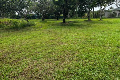 Grond in Matoury, French Guiana, Matoury - € 165.000 | Ref: 202174 - foto 3