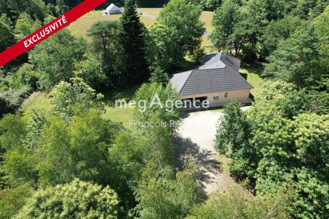 Landejendom i Palazinges, Correze, Palazinges - € 255.000 | Ref: 205275 - foto 3