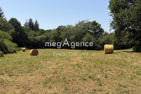Villa a Langoelan, Morbihan, Langoelan - € 260.000 | Ref: 205643 - foto 20