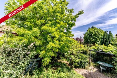 Villa i Villecresnes, Val-de-Marne, Villecresnes - € 335.000 | Ref: 205072 - foto 14