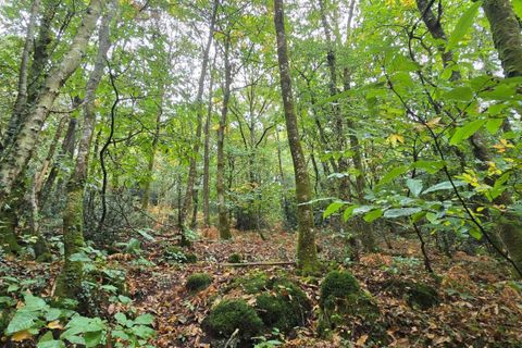 Villa - Lignol, Morbihan, Lignol - € 262 500 | Réf : 190173 - photo 19