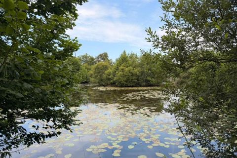 Helårsgrund i Saint-Congard, Morbihan, Saint-Congard - € 49.500 | Ref: 204820 - foto 1