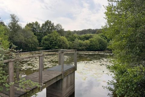 Helårsgrund i Saint-Congard, Morbihan, Saint-Congard - € 49.500 | Ref: 204820 - foto 2