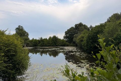 Helårsgrund i Saint-Congard, Morbihan, Saint-Congard - € 49.500 | Ref: 204820 - foto 7