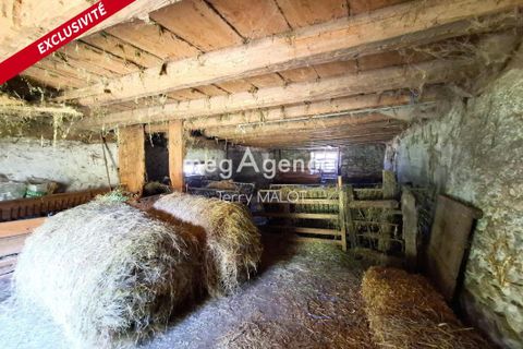 Masia a Campan, Hautes-Pyrenees, Campan - € 160.000 | Ref: 205560 - foto 2