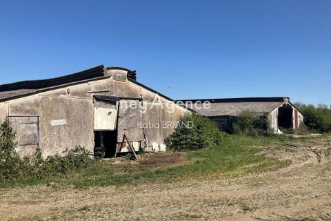 Villa em Laval, Mayenne, Laval - € 570.000 | Ref: 205273 - foto 4