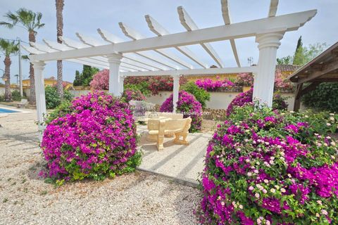 Haus in Catral, Alicante, Catral - € 385.000 | Ref: 5370-47 - Foto 12