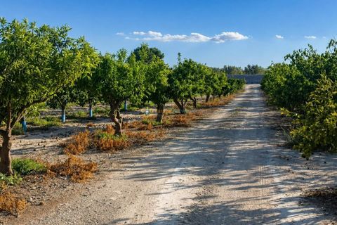 Grond in Albaida, Valencia, Albaida - € 100.000 | Ref: PNPT258 - foto 19