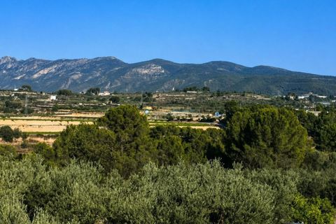 Grond in Albaida, Valencia, Albaida - € 100.000 | Ref: PNPT258 - foto 11