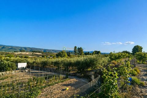 Grond in Albaida, Valencia, Albaida - € 100.000 | Ref: PNPT258 - foto 16