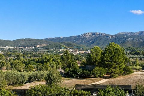 Grond in Albaida, Valencia, Albaida - € 100.000 | Ref: PNPT258 - foto 10