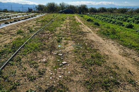 Landejendom i Beniganim, Valencia, Beniganim - € 69.000 | Ref: PNVL2104 - foto 9