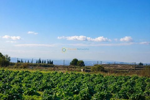 Landejendom i Beniganim, Valencia, Beniganim - € 69.000 | Ref: PNVL2104 - foto 6