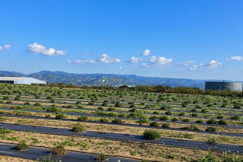 Landejendom i Beniganim, Valencia, Beniganim - € 69.000 | Ref: PNVL2104 - foto 5