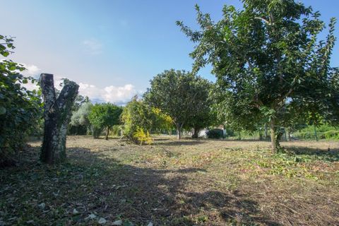 Helårsgrund i Ponte de Lima, Viana do Castelo, Ponte de Lima - € 400.000 | Ref: TC129 - foto 2