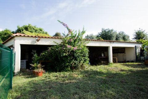 Helårsgrund i Ponte de Lima, Viana do Castelo, Ponte de Lima - € 400.000 | Ref: TC129 - foto 3
