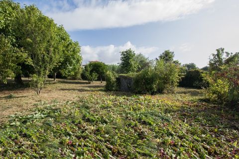 Helårsgrund i Ponte de Lima, Viana do Castelo, Ponte de Lima - € 400.000 | Ref: TC129 - foto 6