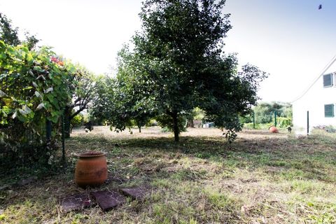 Helårsgrund i Ponte de Lima, Viana do Castelo, Ponte de Lima - € 400.000 | Ref: TC129 - foto 8