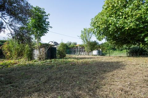 Helårsgrund i Ponte de Lima, Viana do Castelo, Ponte de Lima - € 400.000 | Ref: TC129 - foto 9
