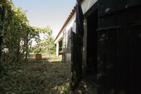 Helårsgrund i Ponte de Lima, Viana do Castelo, Ponte de Lima - € 400.000 | Ref: TC129 - foto 10