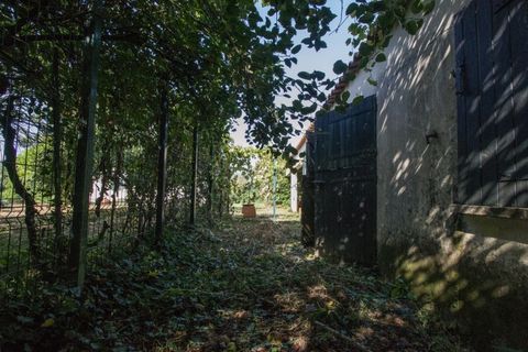 Helårsgrund i Ponte de Lima, Viana do Castelo, Ponte de Lima - € 400.000 | Ref: TC129 - foto 12