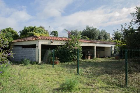 Helårsgrund i Ponte de Lima, Viana do Castelo, Ponte de Lima - € 400.000 | Ref: TC129 - foto 17