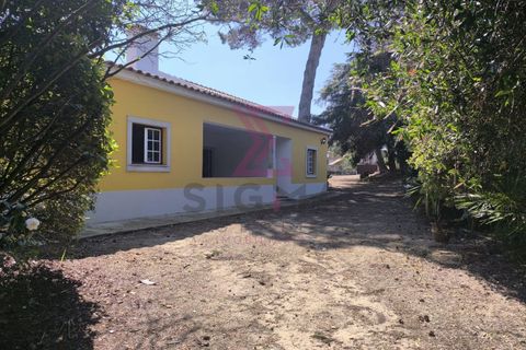 Villa a Bombarral, Leiria, Bombarral - € 1.350/mes | Ref: SRD317 - foto 6