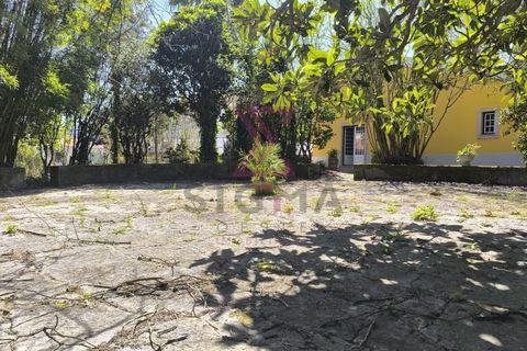 Villa a Bombarral, Leiria, Bombarral - € 1.350/mes | Ref: SRD317 - foto 7