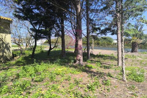 Villa a Bombarral, Leiria, Bombarral - € 1.350/mes | Ref: SRD317 - foto 8