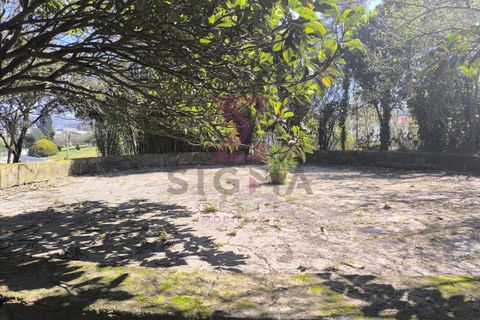 Villa a Bombarral, Leiria, Bombarral - € 1.350/mes | Ref: SRD317 - foto 11