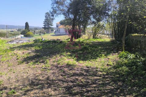 Villa a Bombarral, Leiria, Bombarral - € 1.350/mes | Ref: SRD317 - foto 13