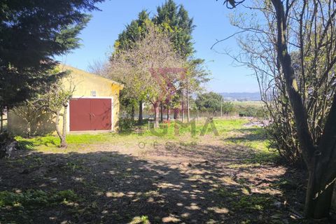 Villa a Bombarral, Leiria, Bombarral - € 1.350/mes | Ref: SRD317 - foto 14