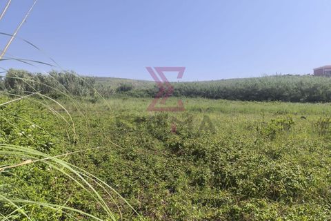 Helårsgrund i Obidos, Leiria, Obidos - € 285.000 | Ref: SRD306 - foto 2