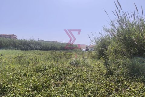 Helårsgrund i Obidos, Leiria, Obidos - € 285.000 | Ref: SRD306 - foto 3