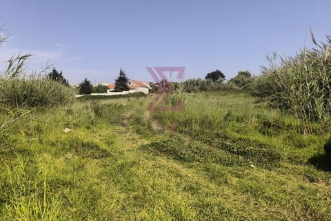 Helårsgrund i Obidos, Leiria, Obidos - € 285.000 | Ref: SRD306 - foto 4