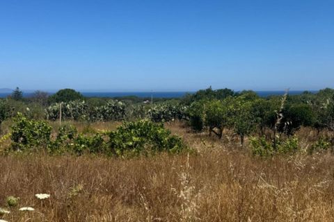 Landejendom i Sorso, Sassari, Sorso - € 60.000 | Ref: LI FRANZESI - foto 3