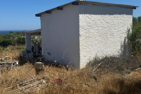 Landejendom i Sorso, Sassari, Sorso - € 60.000 | Ref: LI FRANZESI - foto 4